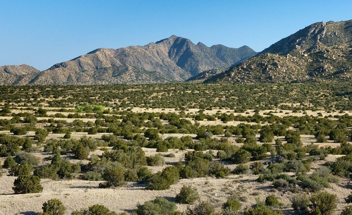 High Desert Habitat